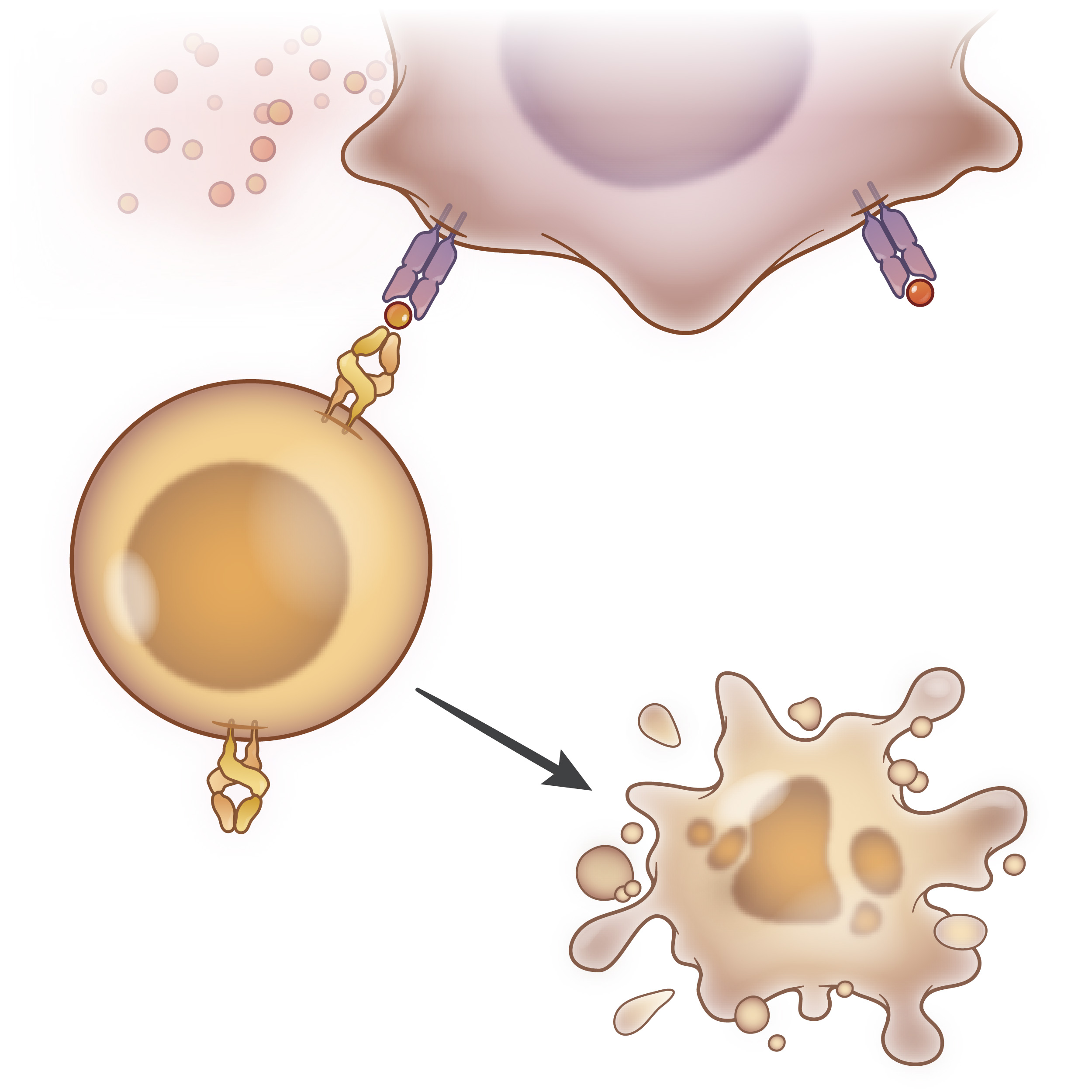 Nejm illustrated glossary