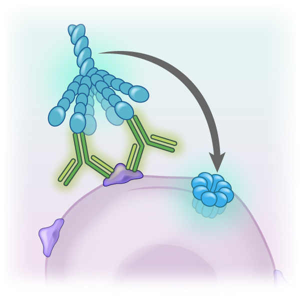 NEJM Illustrated Glossary