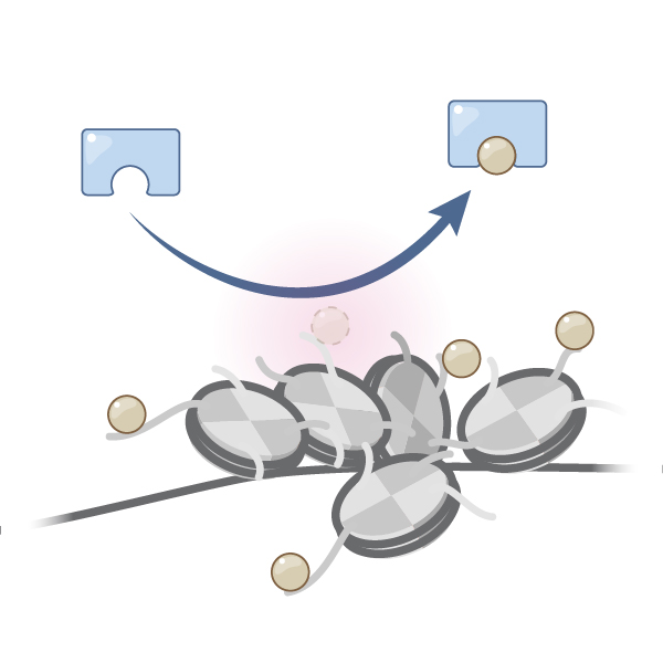 NEJM Illustrated Glossary